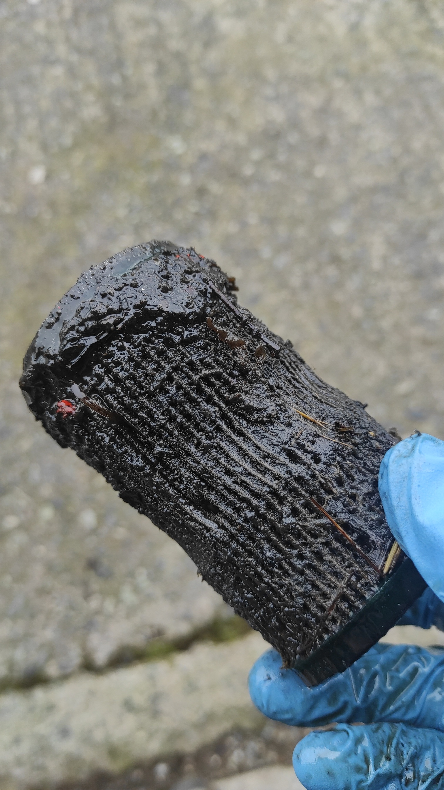 Hydraulics filter seen better days